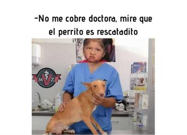 Los 10 mejores memes para celebrar el Día del Veterinario