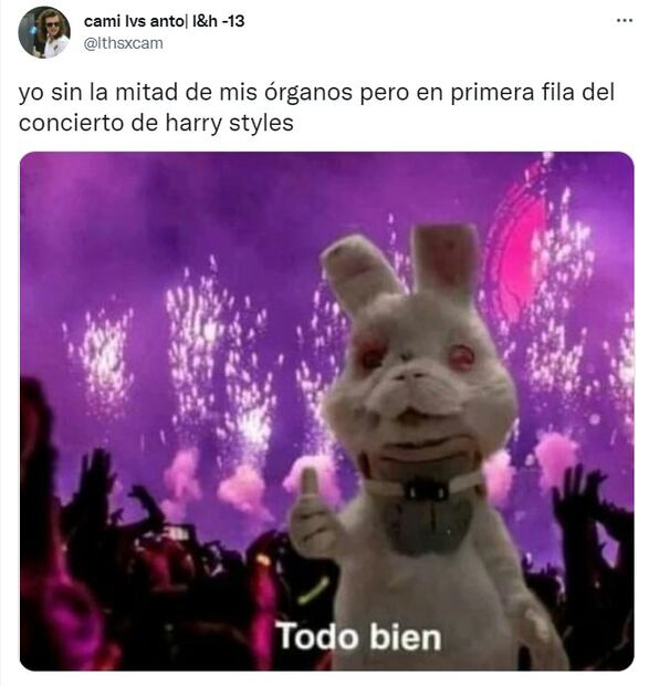 Los 10 mejores memes de la gira de Harry Styles por Latinoamérica en 2022