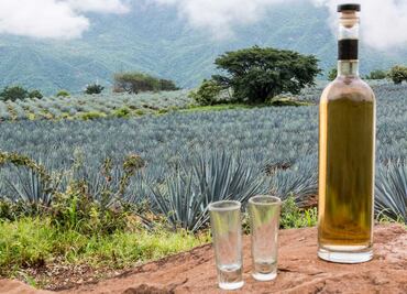 5 actividades para celebrar el Día Internacional del Tequila