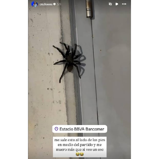 Esta es la imagen que compartió Cristina Llorens durante su estancia en el 'Gigante de Acero'. FOTO: @cris.llorens