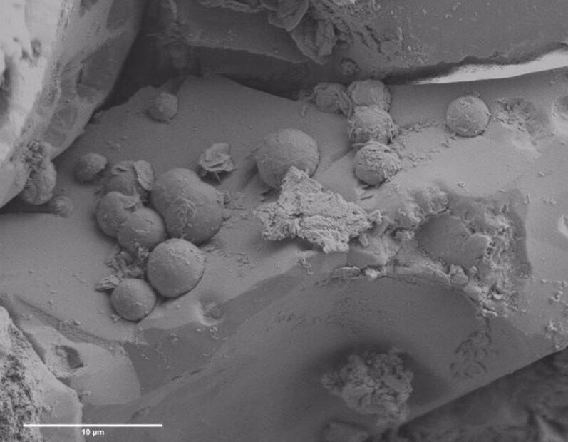 Un antiguo meteorito puede revelar el origen de la vida en la Tierra