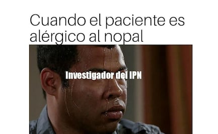 ¡Feliz Día del Politécnico! 10 memes del IPN y su obsesión con el nopal