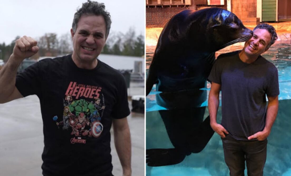 Fotos: Instagram @markruffalo