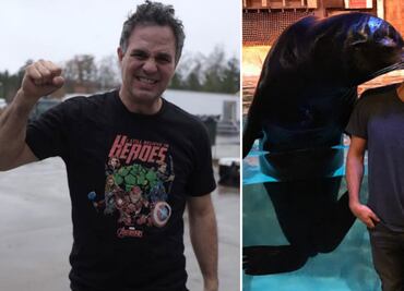 10 momentos en los que Mark Ruffalo “la regó” de forma encantadora