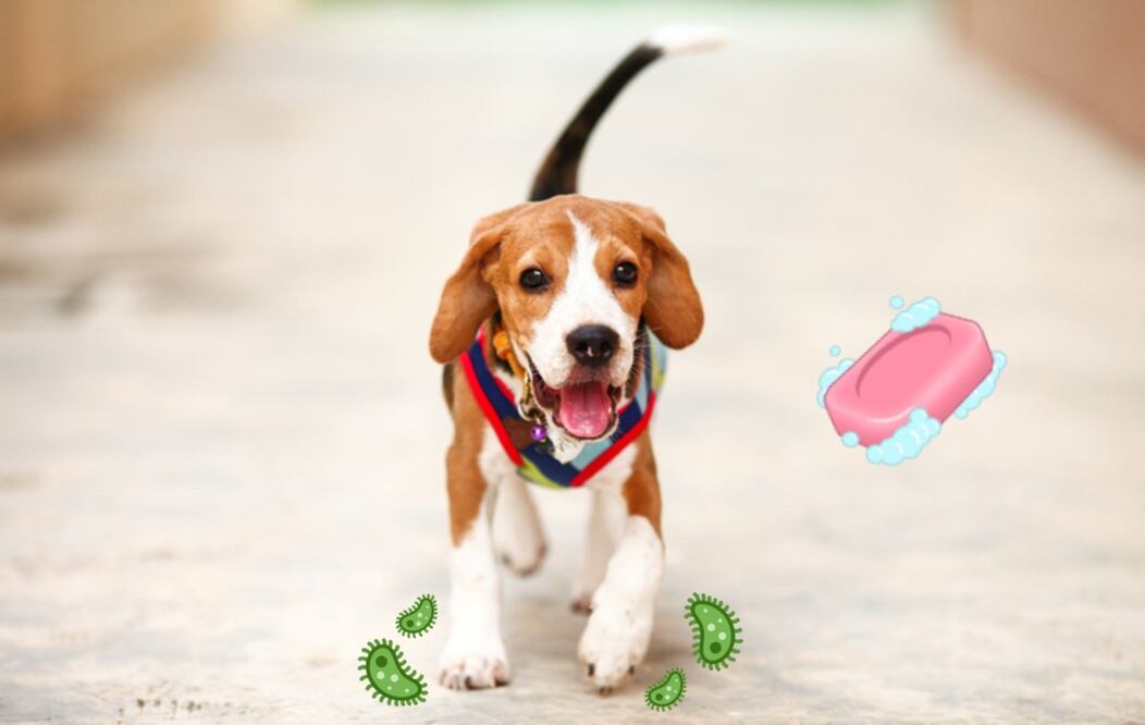 Foto: iStock/Emojipedia