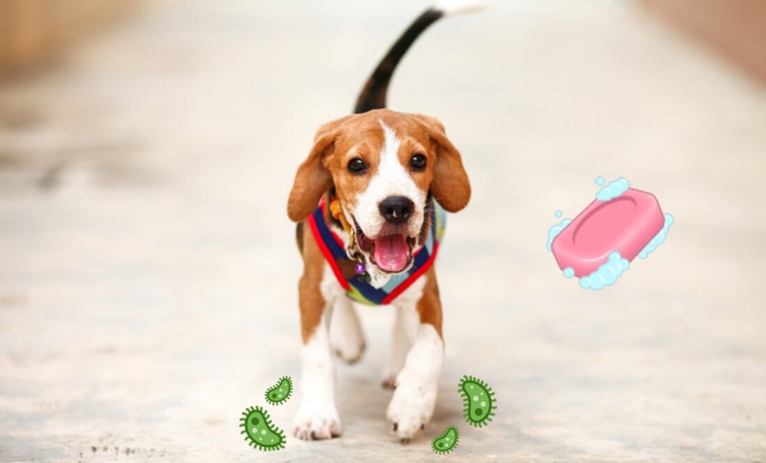 Foto: iStock/Emojipedia