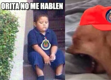 Chivas es víctima de los memes tras perder ante Necaxa