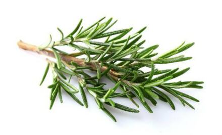 5 secretos y beneficios del ROMERO en nuestra salud