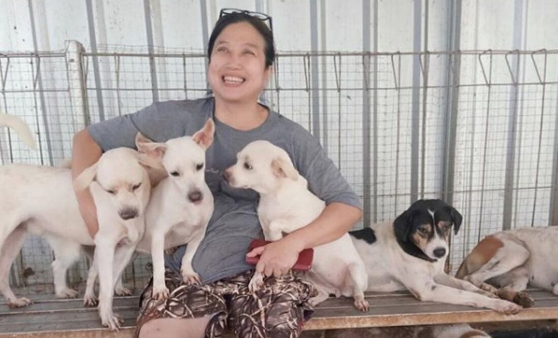 Foto: Instagram @pejatenshelter