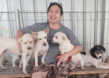Mujer salva de la muerte a más de 1000 perros en Indonesia