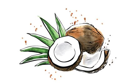 Beneficios del coco que quizá desconozcas