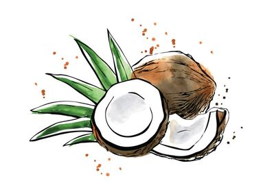 Beneficios del coco que quizá desconozcas