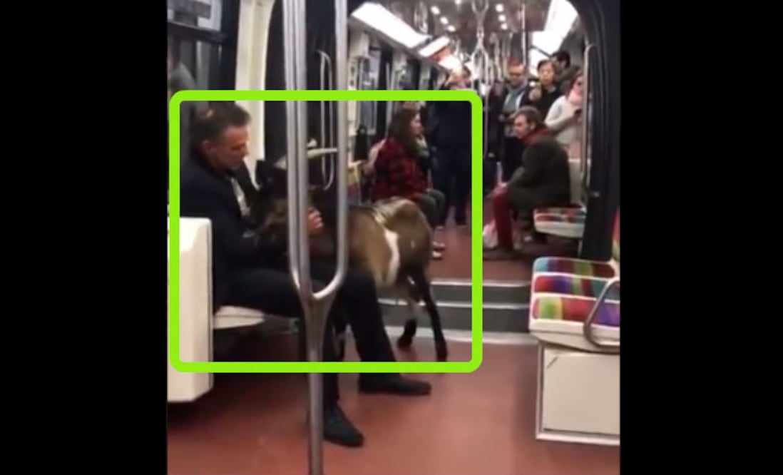 Imagen de Twitter @InfosFrancaises