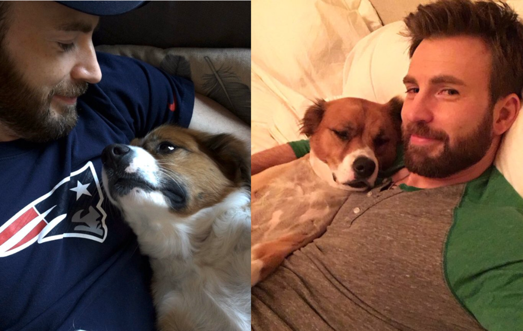 Foto: Twitter @ChrisEvans