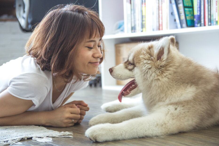 Tener un perro te hace lucir más joven... ¡la ciencia lo confirma!
