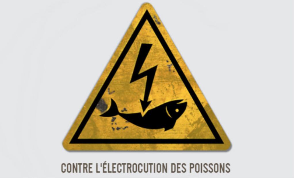 Chefs europeos se unen contra la pesca eléctrica