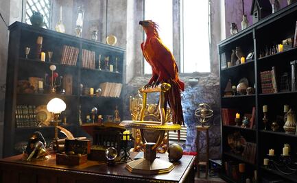 ¡Atención Potterheads! El mundo mágico de “Animales Fantásticos” llega a la CDMX