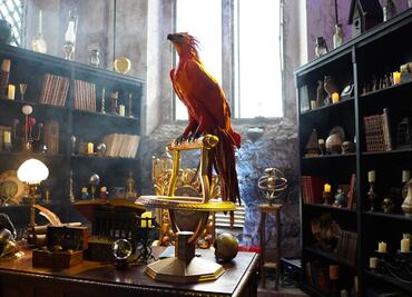 ¡Atención Potterheads! El mundo mágico de “Animales Fantásticos” llega a la CDMX