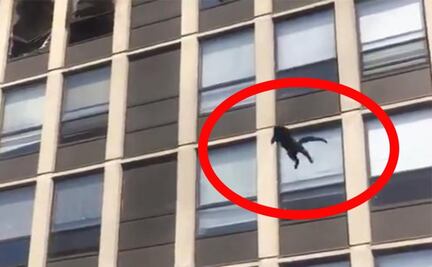 Gatito salta de un edificio en llamas y sale ileso