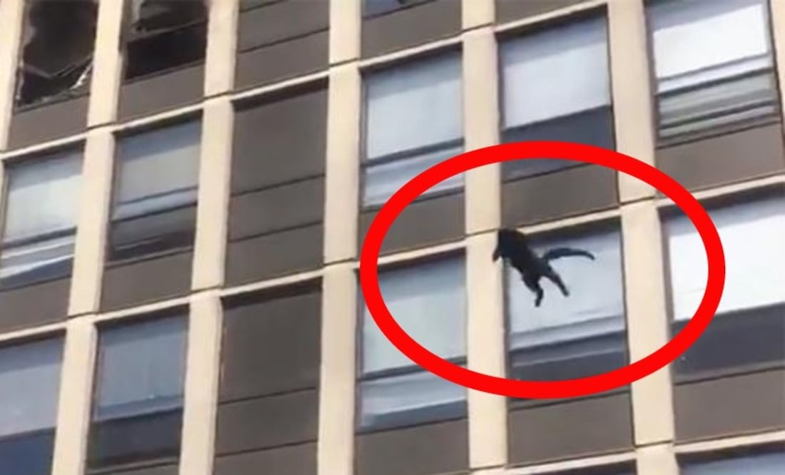 Foto: Twitter @CFDMedia