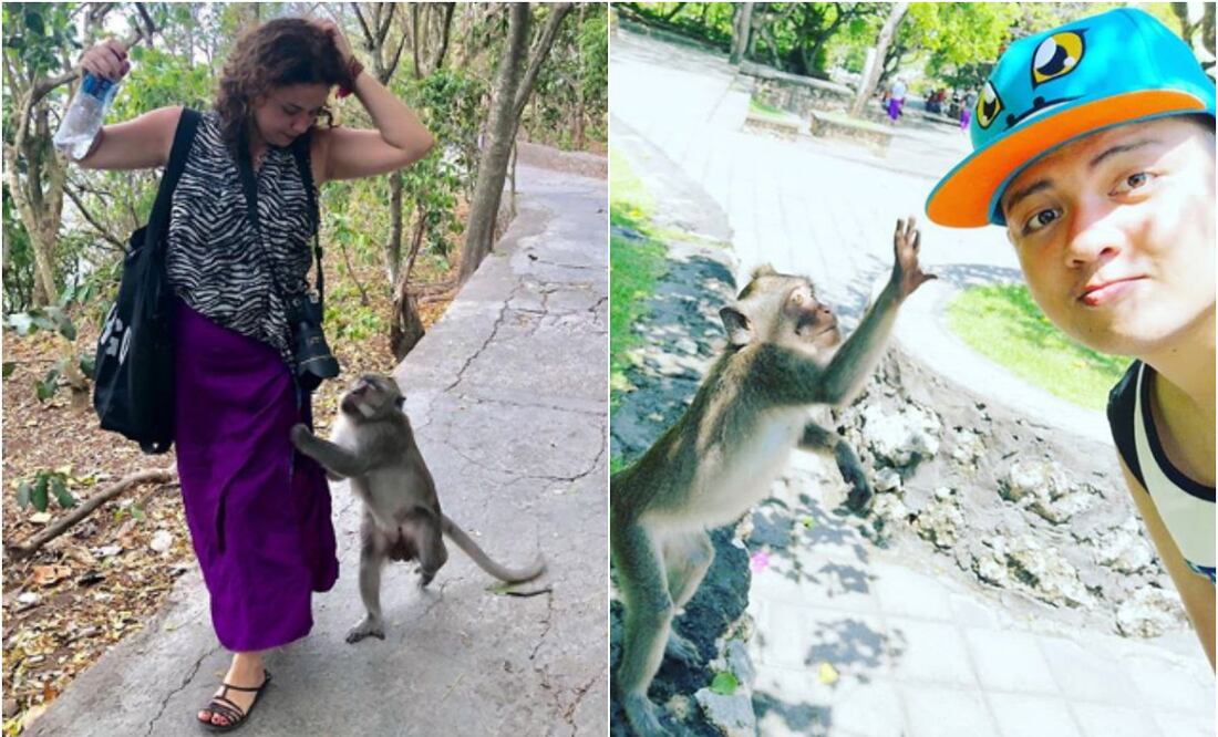 Foto: Instagram @gaj_oliwny/zheyanzures