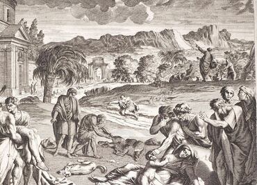 La explicación científica de las “10 Plagas de Egipto” descritas en la Biblia