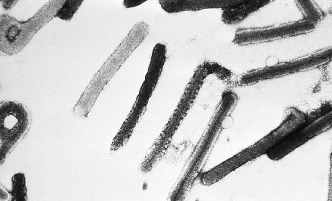 Foto por R. Regnery, E. L. Palmer, USCDCP en Pixnio