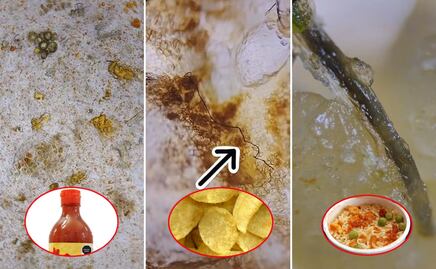 Así lucen en el microscopio la sopa instantánea, las papas fritas y la salsa