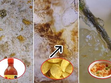 Así lucen en el microscopio la sopa instantánea, las papas fritas y la salsa