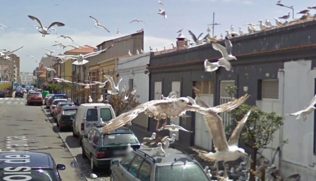 10 imágenes raras de Google Maps que NO tienen explicación