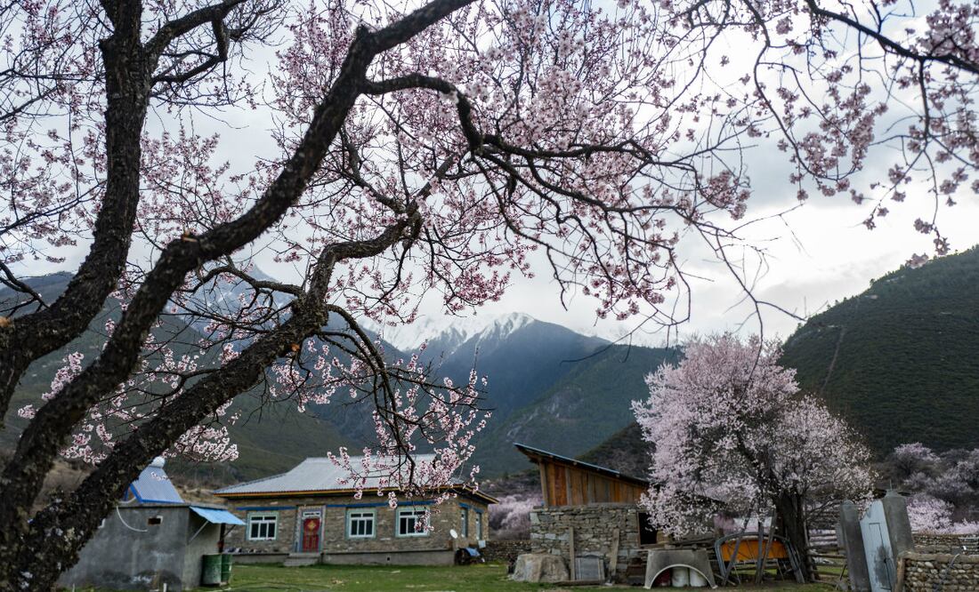 Foto: Xinhua
