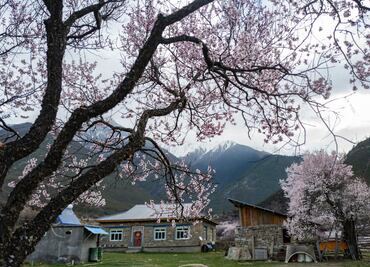 10 hermosas fotos de la primavera en el Tíbet