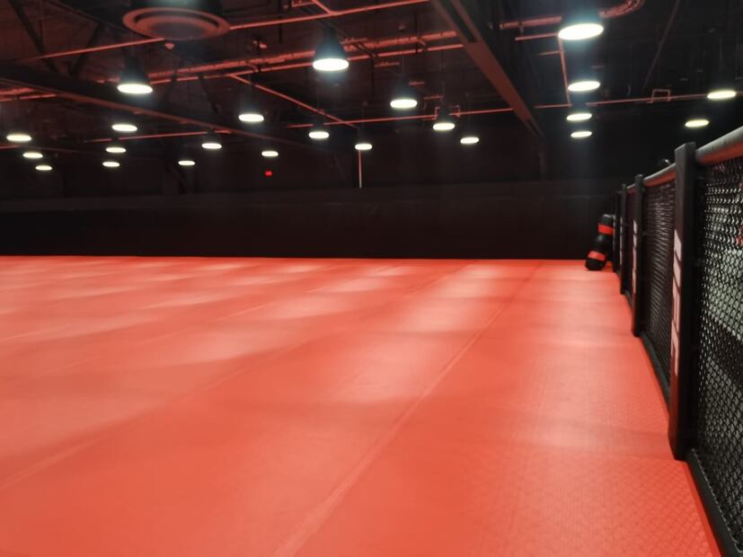 Así es el UFC Performance Institute México