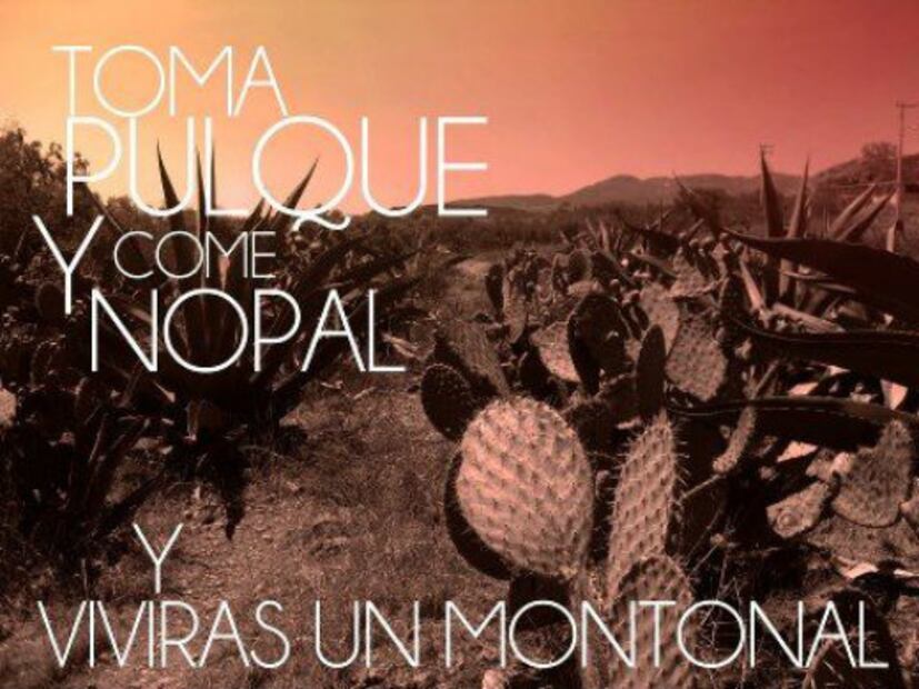 La Feria del Pulque y 10 datos del elixir de los dioses 