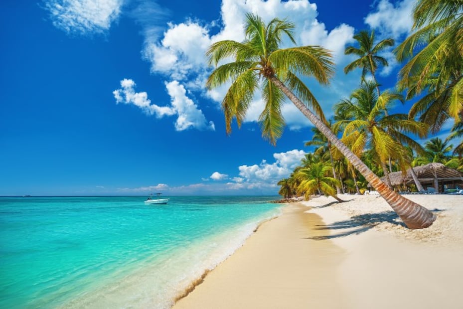 ¿Será la isla de “Lost”? Usuarios encuentran “agujero negro” en Google Maps