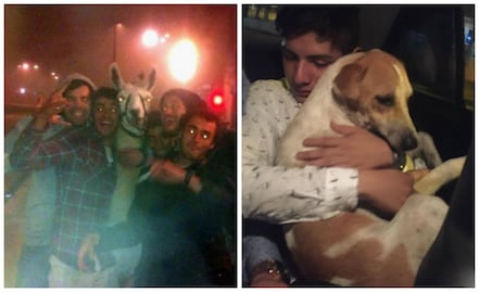 10 borrachos que tuvieron aventuras épicas