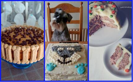 10 pasteles increíbles para celebrar el cumpleaños de tu perro