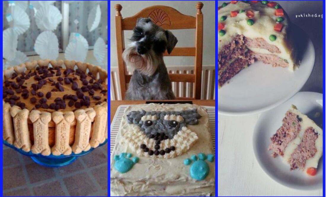 Fotos: Pinterest: