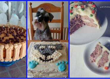 10 pasteles increíbles para celebrar el cumpleaños de tu perro