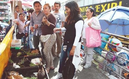 CDMX va por prohibir venta de animales vivos en mercados móviles