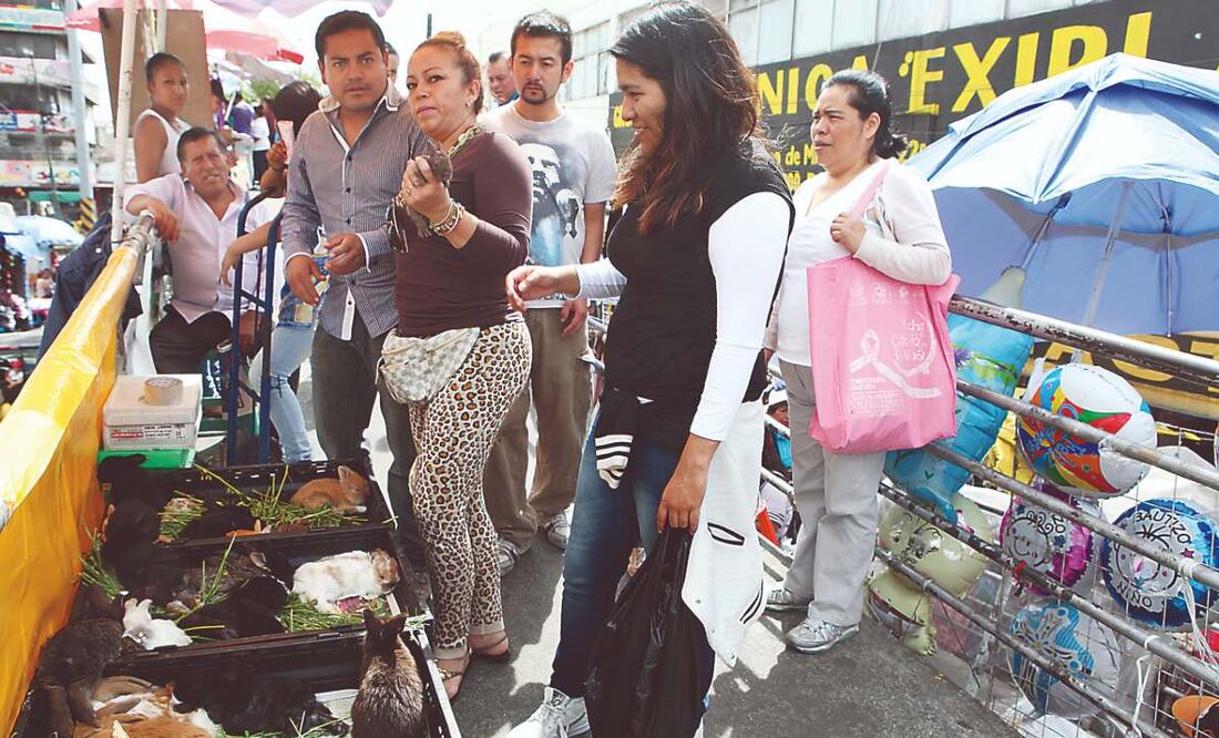 Foto: Cristopher Rogel Blanquet/ El Universal