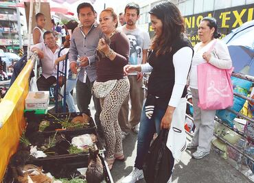CDMX va por prohibir venta de animales vivos en mercados móviles