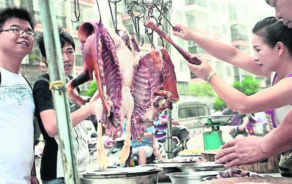 En China venden carne de perro pese a oposición del Gobierno