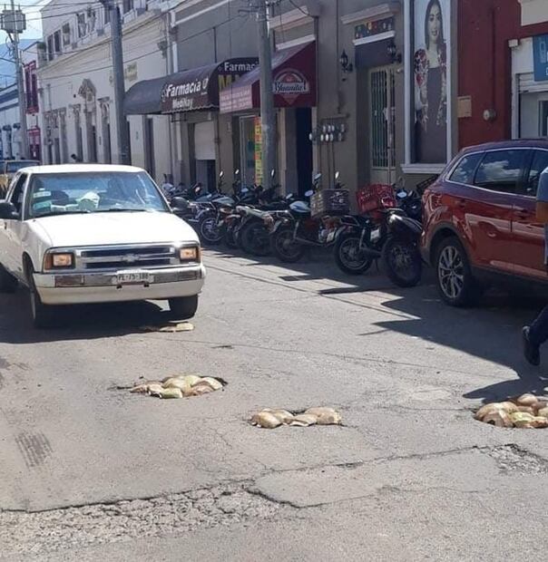 ¡Ni la NASA! Pobladores tapan los baches con ¡COCOS! en Nayarit