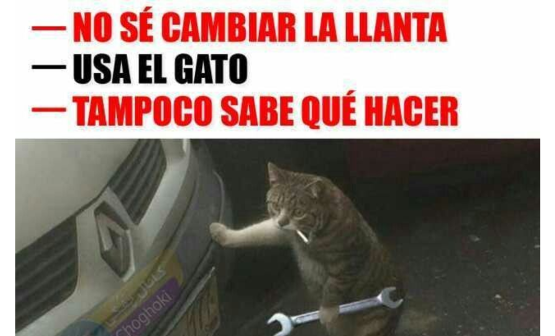 Foto: Internet
