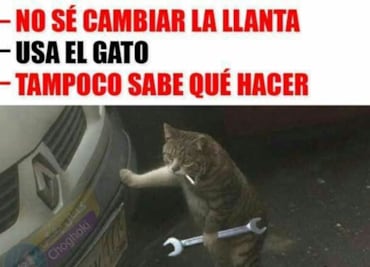 10 anécdotas muy locas para celebrar el Día del Mecánico