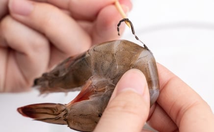 Con microscopio tiktoker revela qué hay en la “vena negra” del camarón