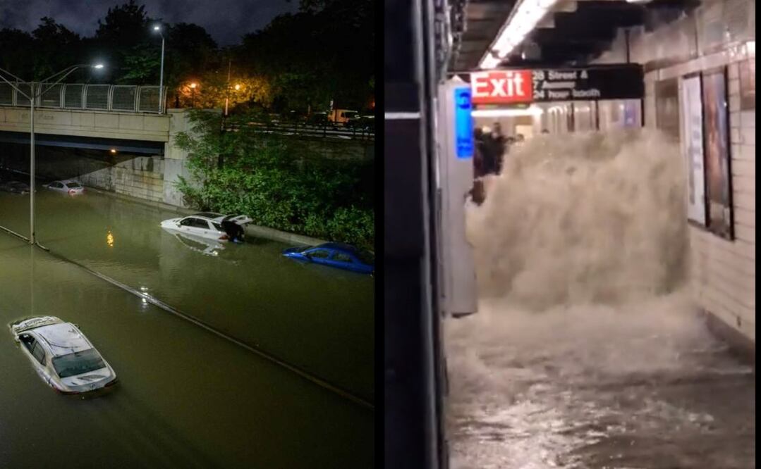 Foto: Ed Jones/AFP y Twitter @SubwayCreatures