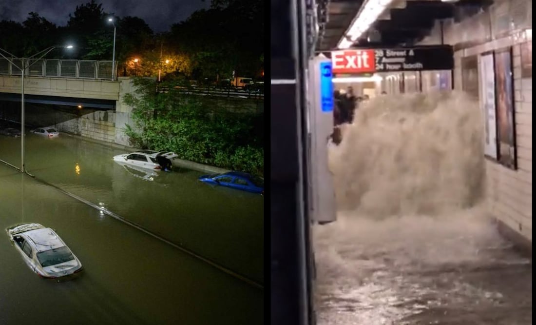 Foto: Ed Jones/AFP y Twitter @SubwayCreatures