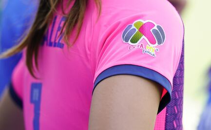 Senado de la República aprueba equidad salarial para deportistas profesionales 